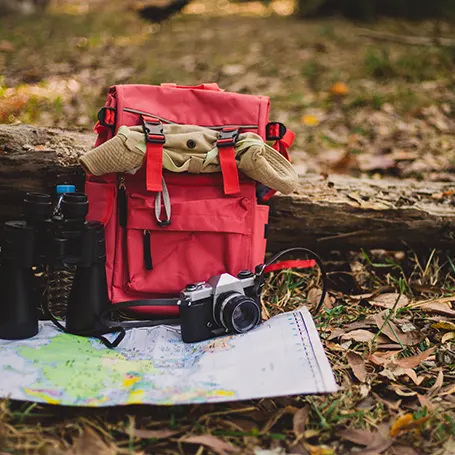 An image of some camping gear in nature