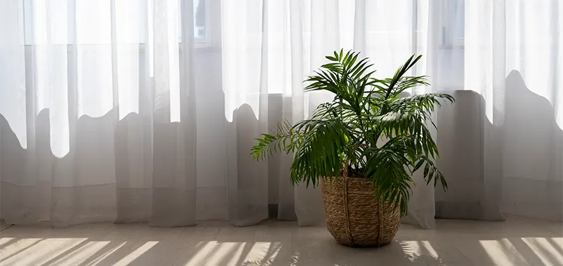 choosing-the-best-bedroom-curtains-FI