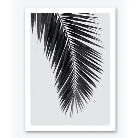 Palm Leaf Black & White Art Print