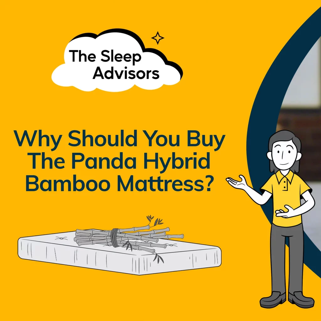featured image for Panda Mattress - Why should you buy it