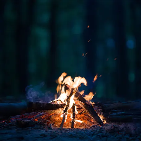 An image of a campfire.