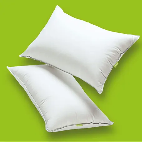 Scooms goose-down pillows.