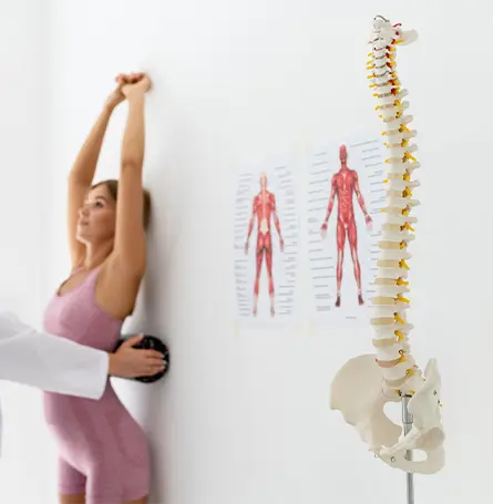 An image of a woman doing exercises for her spine