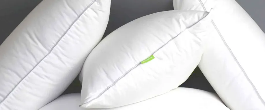 Goose down pillow reviews outlet