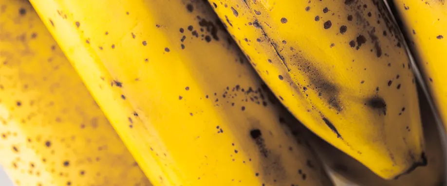 Bananas-and-sleep-FI