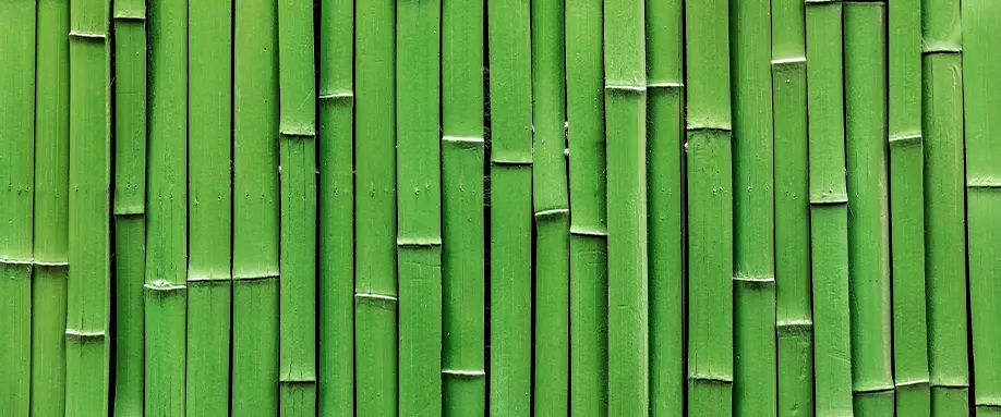 benifits-of-bamboo-FI
