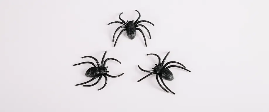 eating-spiders-in-sleep-FI
