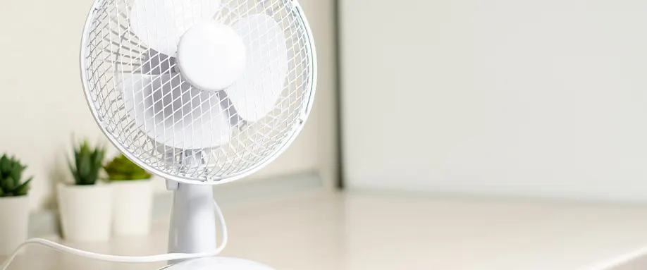 sleeping-with-fan-on-FI