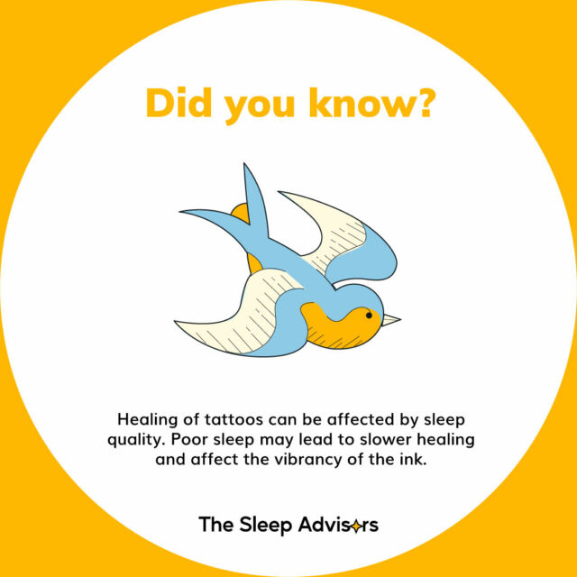 Behind every beautifully inked piece lies a crucial factor: quality sleep. 💤✨ 

Remember, the healing journey of tattoos isn't just skin deep; it's influenced by the restorative power of a good night's sleep. 🌙 #InkHealing #SleepMatters #thesleepadvisors #funfact #DidYouKnow